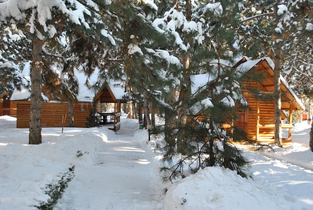 Hotel Kompleks Otdykha Elki-Palki Odessa Esterno foto